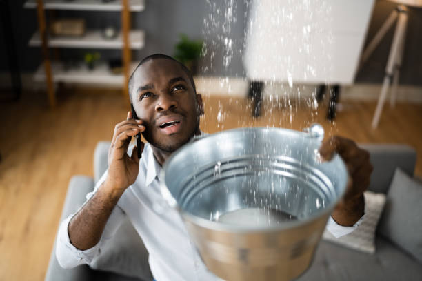 Best Carpet water damage restoration  in Advance, MO
