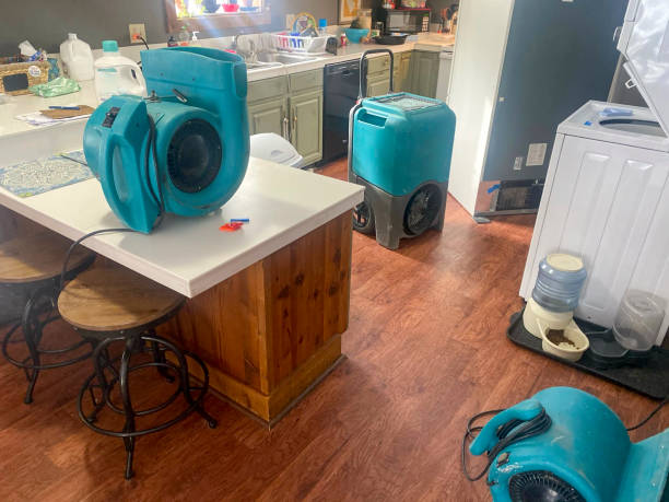 Best 24-hour water damage restoration  in Advance, MO