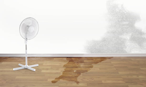 Best Water damage restoration services  in Advance, MO