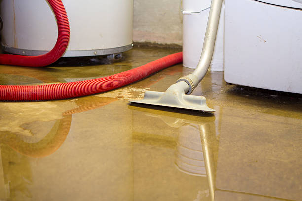 Best Emergency water damage restoration  in Advance, MO