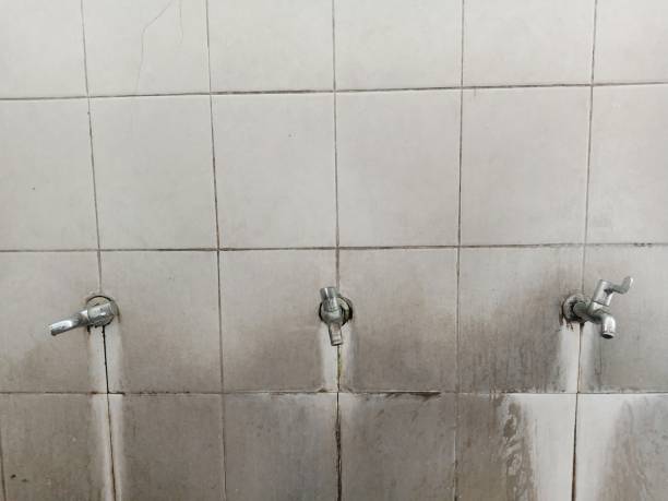 Best Flood restoration services  in Advance, MO