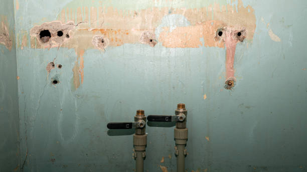 Best Water damage contractors near me  in Advance, MO
